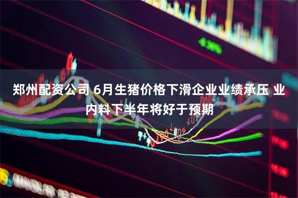 郑州配资公司 6月生猪价格下滑企业业绩承压 业内料下半年将好于预期