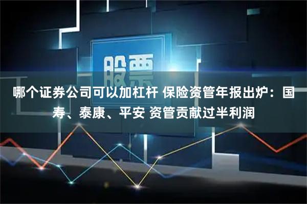 哪个证券公司可以加杠杆 保险资管年报出炉:国寿、泰康、平安 资管贡献过半利润